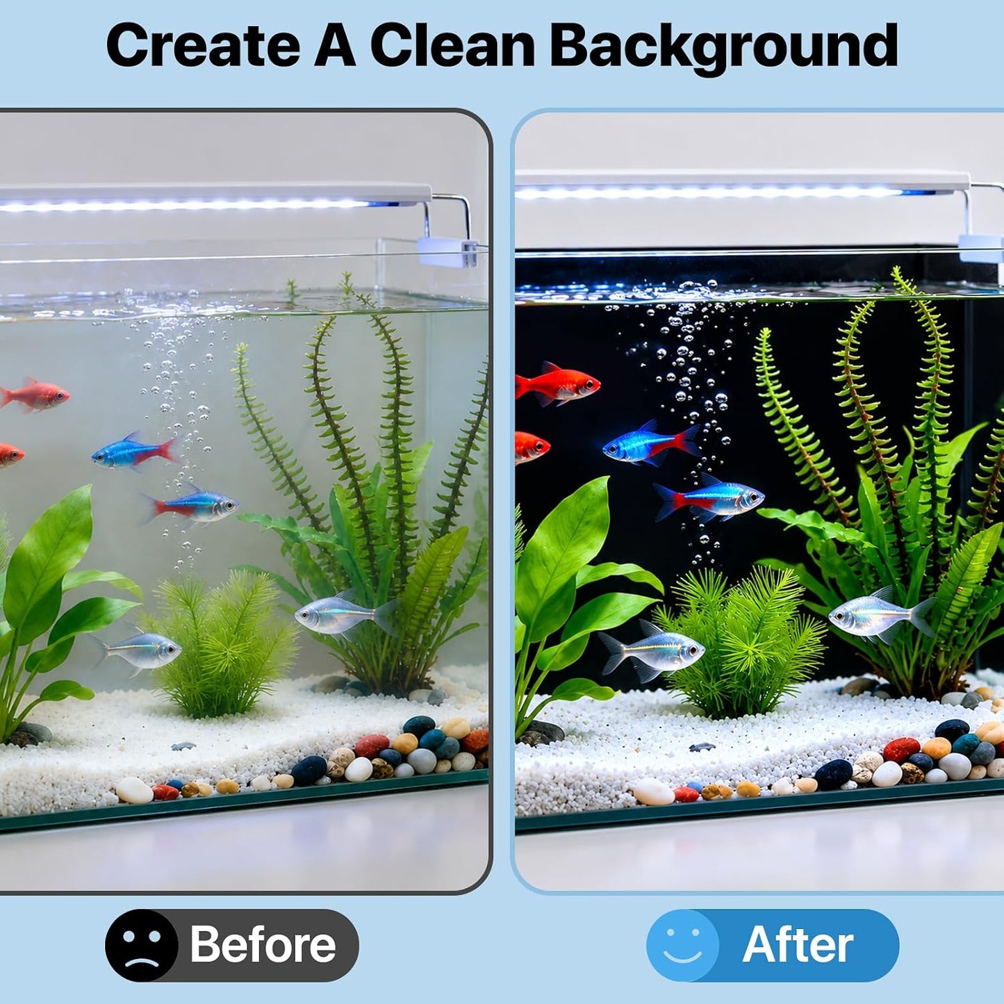 Premium matte black fish tank backdrop wallpaper showing an elegant contrast enhancement for aquatic life.
