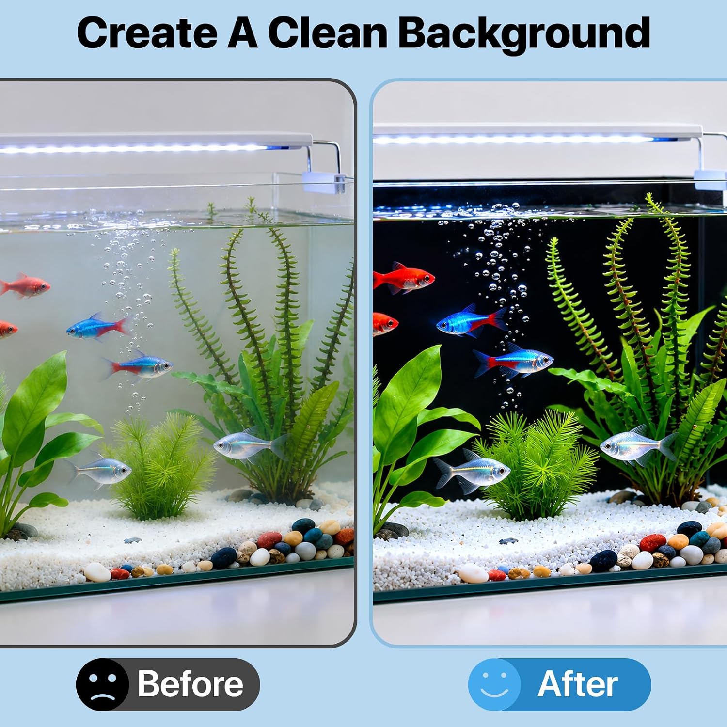 Premium matte black fish tank backdrop wallpaper showing an elegant contrast enhancement for aquatic life.
