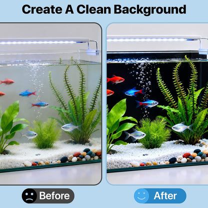 Premium matte black fish tank backdrop wallpaper showing an elegant contrast enhancement for aquatic life.