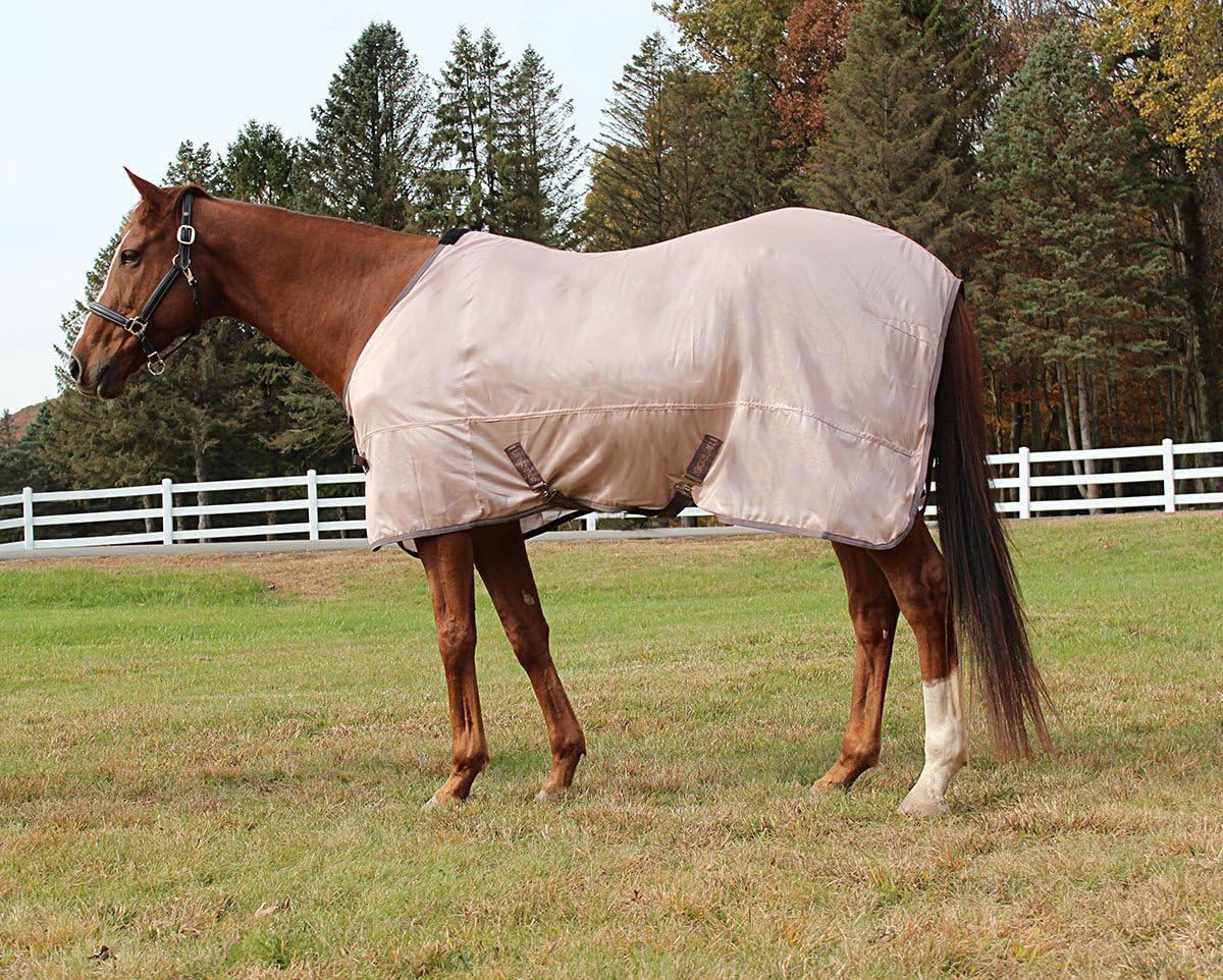 Full body view of a horse grazing comfortably while wearing the blue TuffRider protective fly sheet