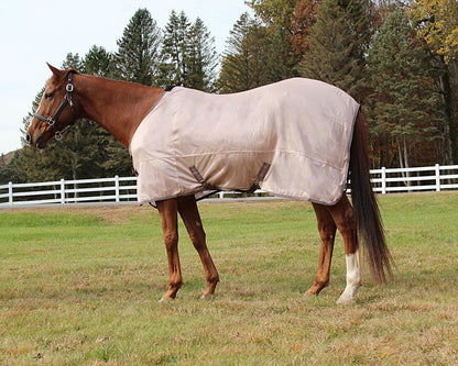 Full body view of a horse grazing comfortably while wearing the blue TuffRider protective fly sheet