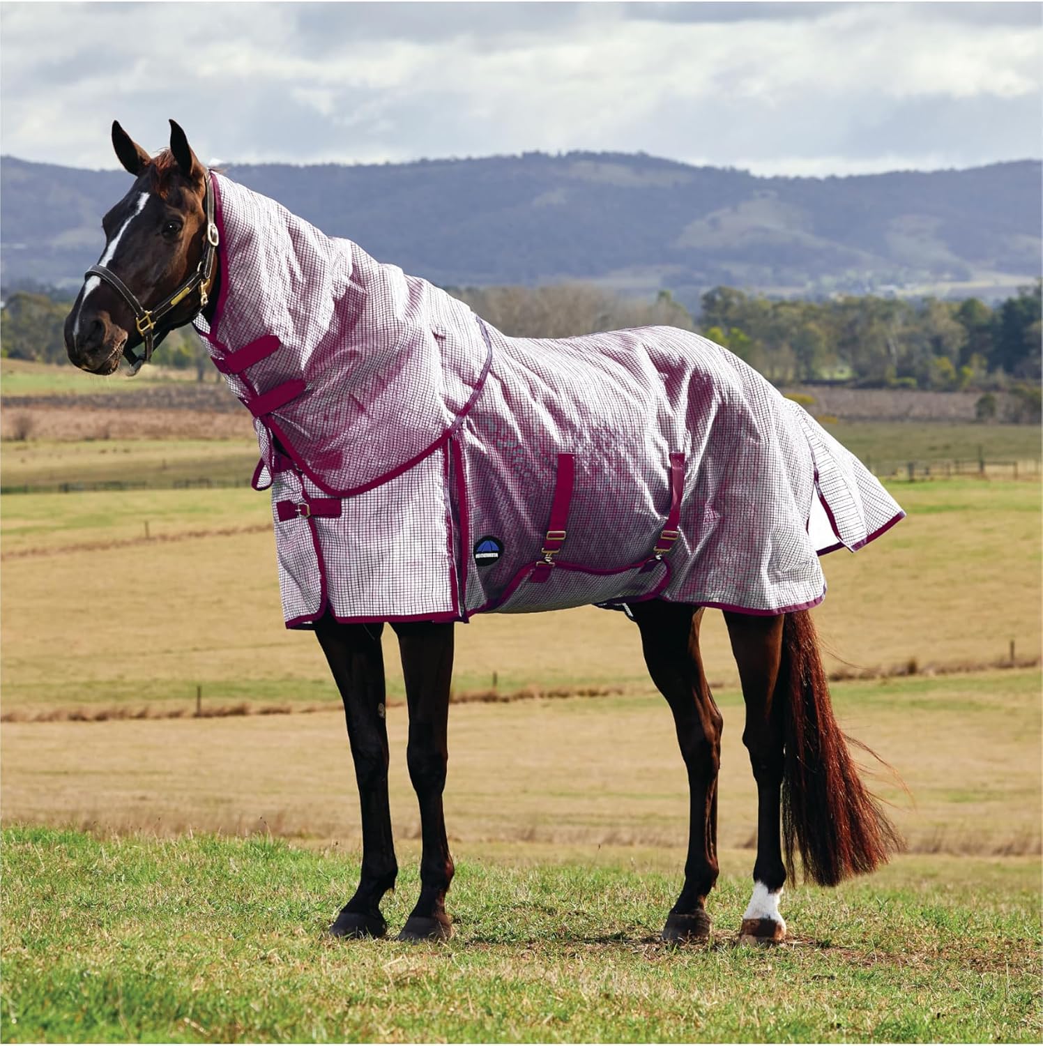 WeatherBeeta ComFiTec Ripshield Fly Sheet front view on a horse showcasing the white and burgundy colorway.