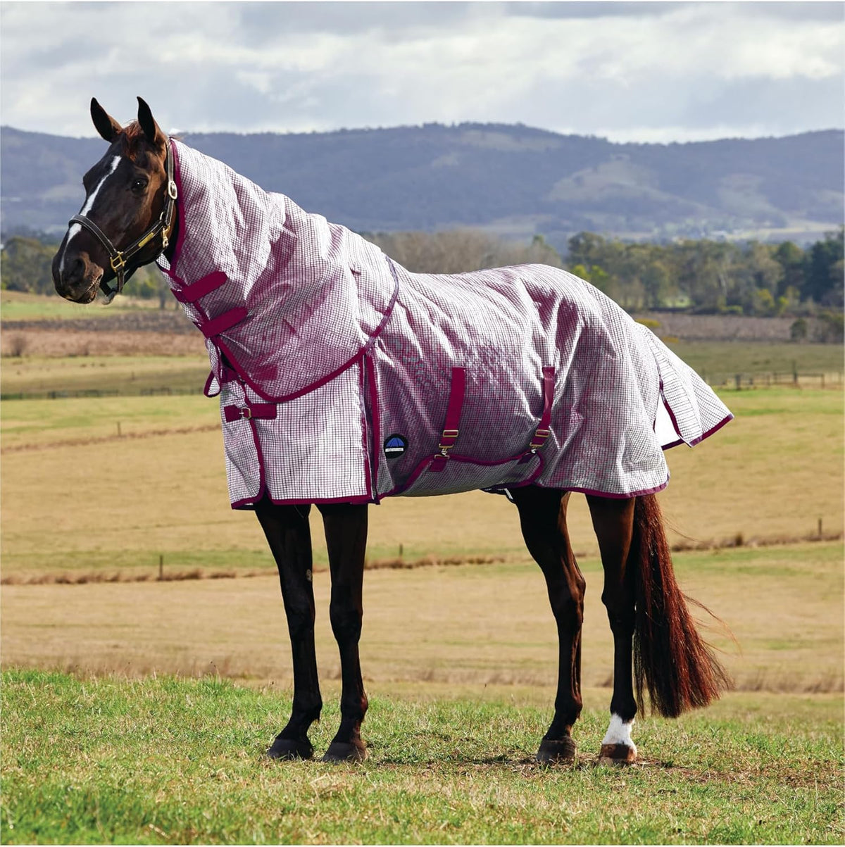 WeatherBeeta ComFiTec Ripshield Fly Sheet front view on a horse showcasing the white and burgundy colorway.