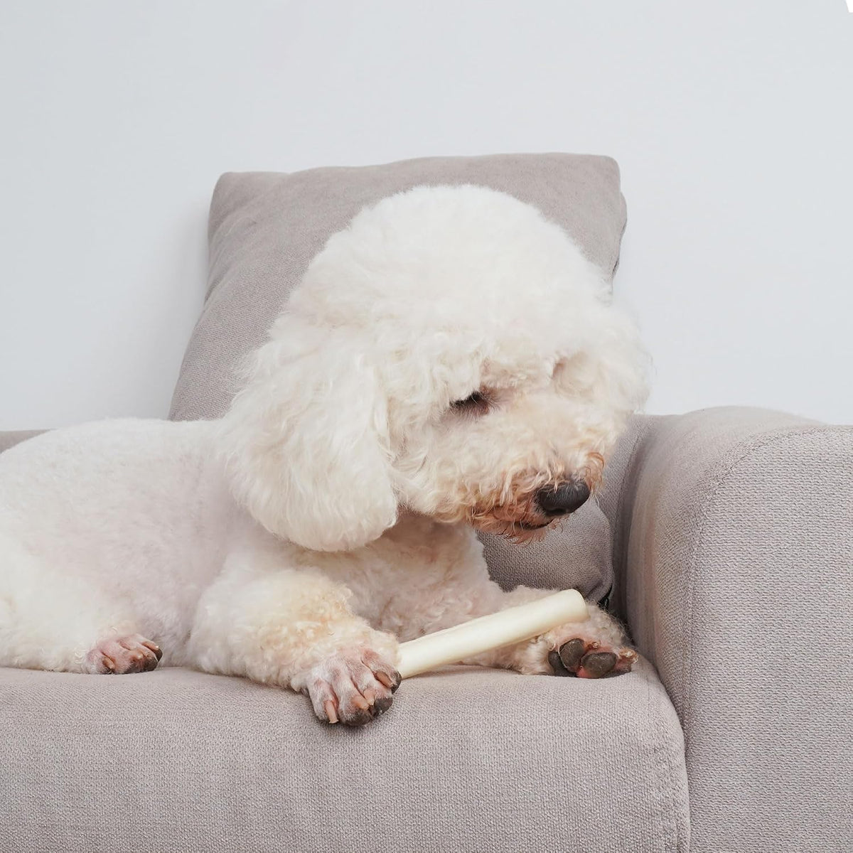 Mon2sun small dog rawhide sticks packaging view authentic imported pet care
