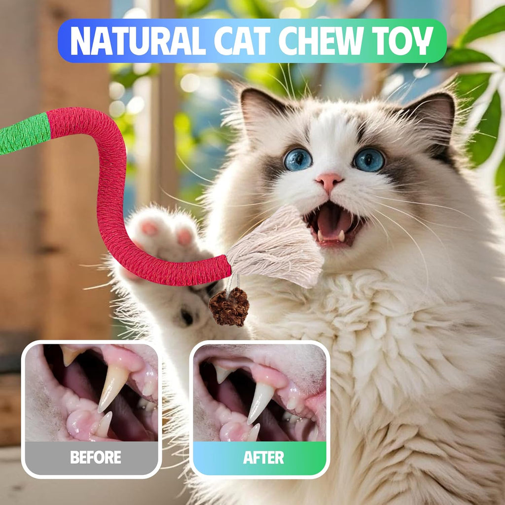 Interactive cat chew rope toy with silvervine for indoor cats