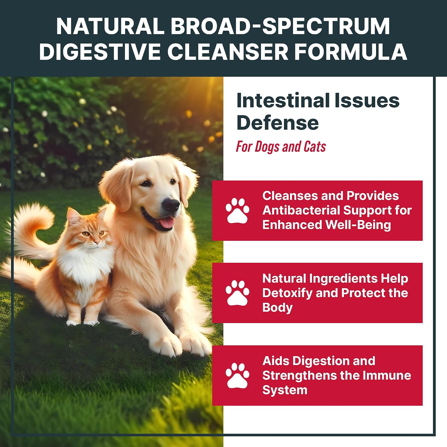 MaxBuddy liquid herbal cleanser drops for dogs and cats gut support