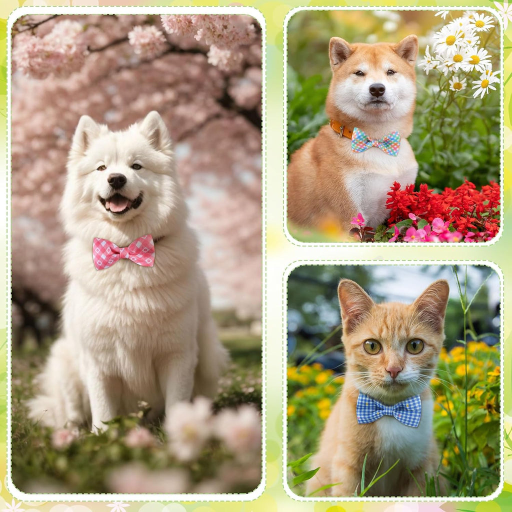 Close up view of the elastic backing band on the pet bowtie charm