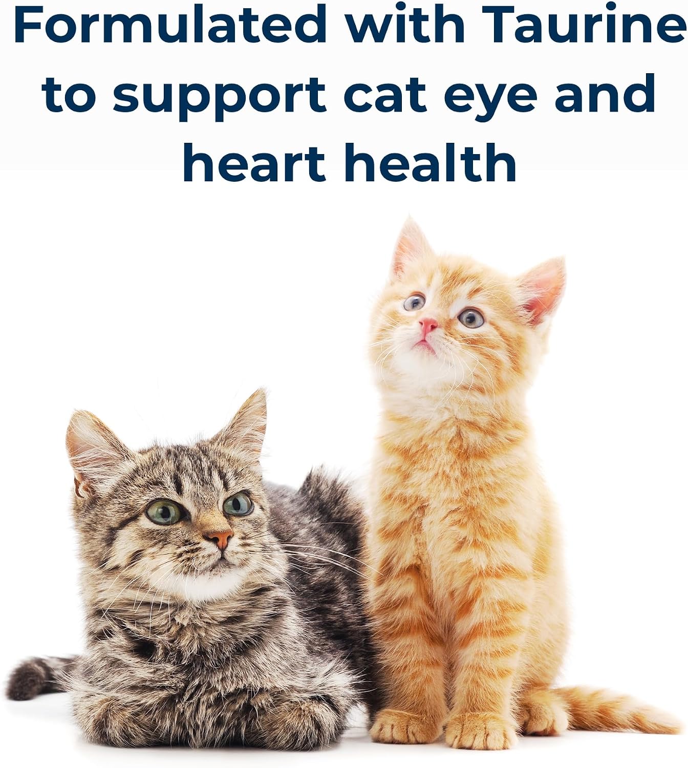 USA imported PetAg Cat-Sip Grade A low-fat milk supplement close-up view