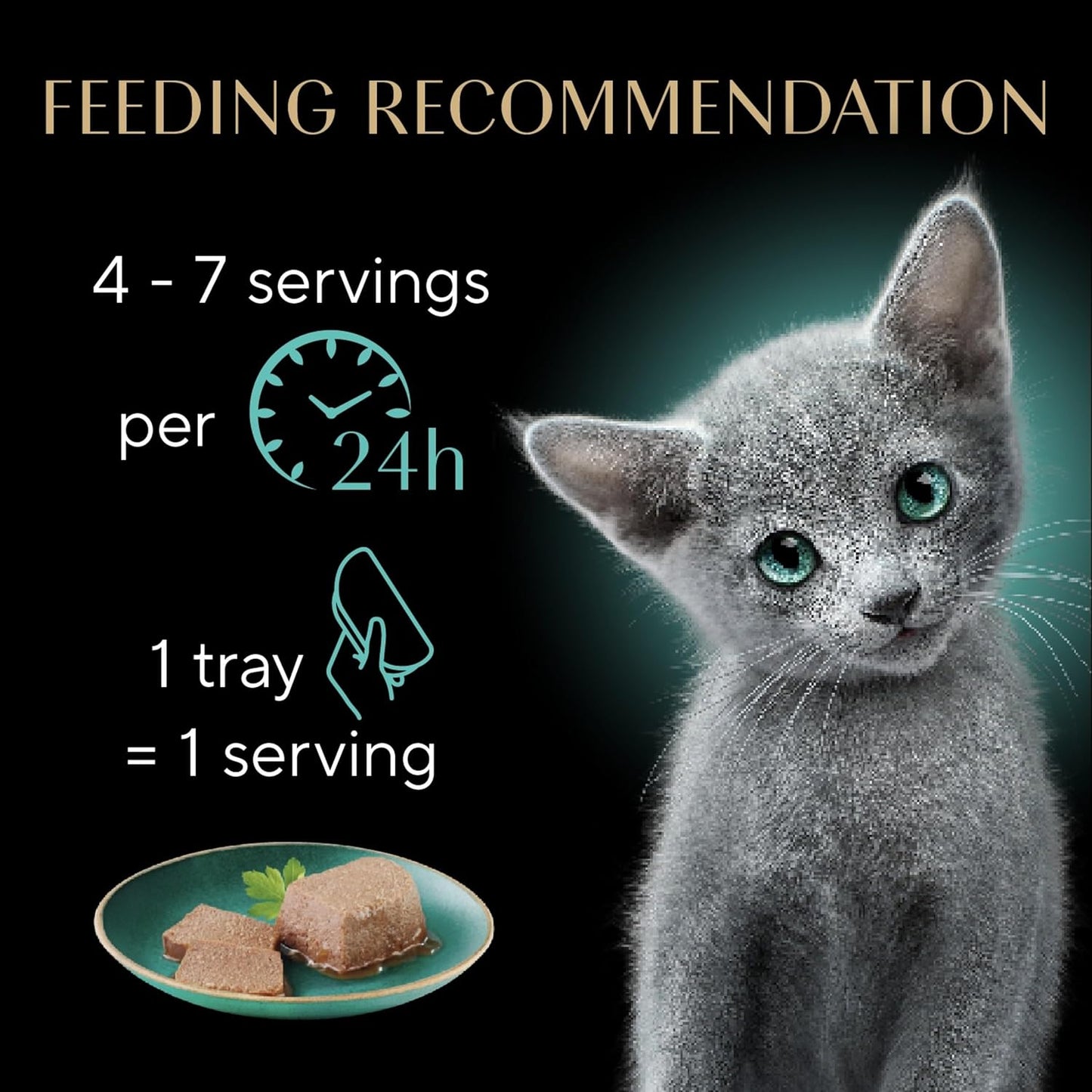 Sheba Kitten Wet Cat Food Turkey Entree Serving Tray