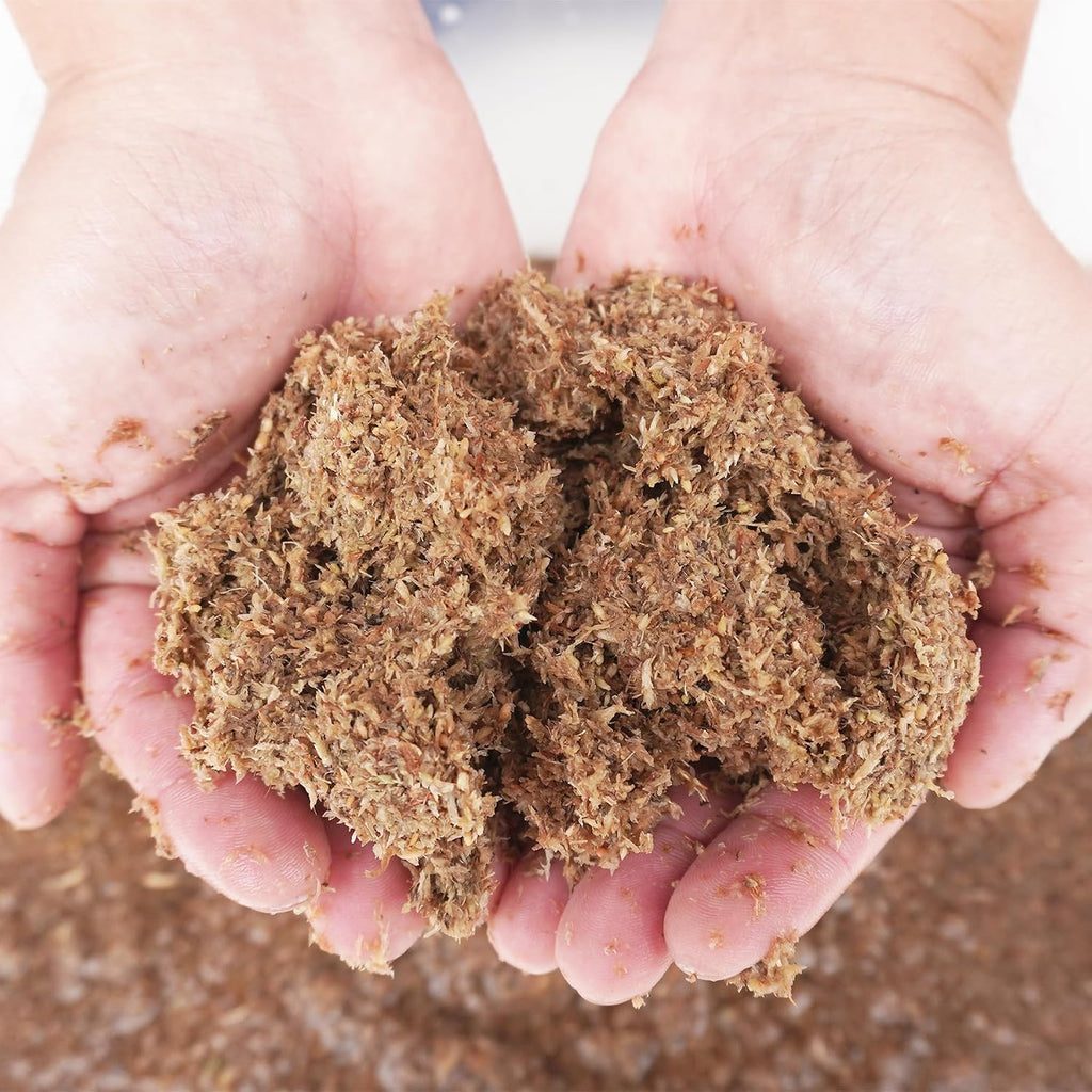Natural organic sphagnum moss fiber for terrariums
