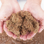 Natural organic sphagnum moss fiber for terrariums