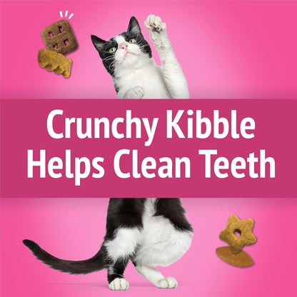 Imported USA cat treats canister lid and freshness seal close up view
