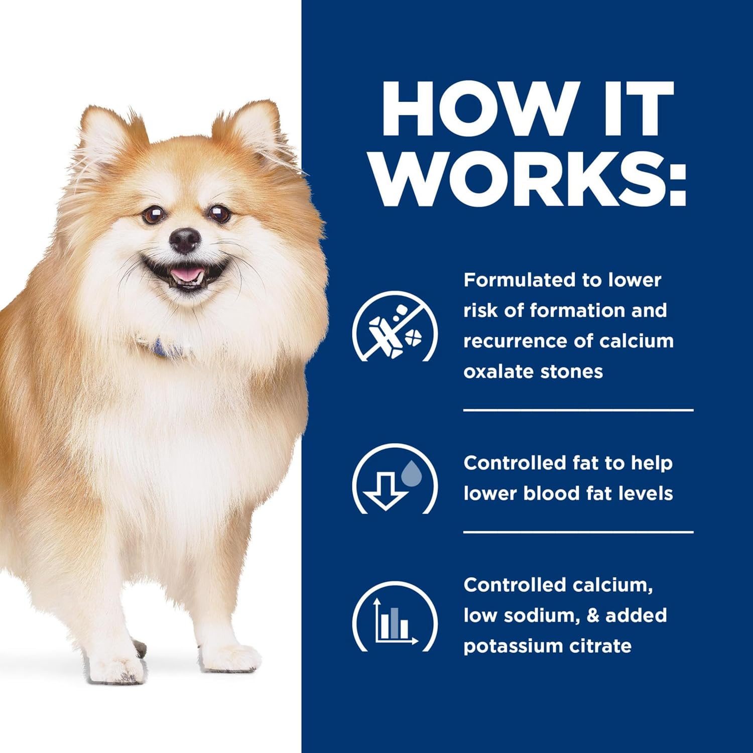 Hill's Pet Nutrition prescription diet low fat canine urinary care package