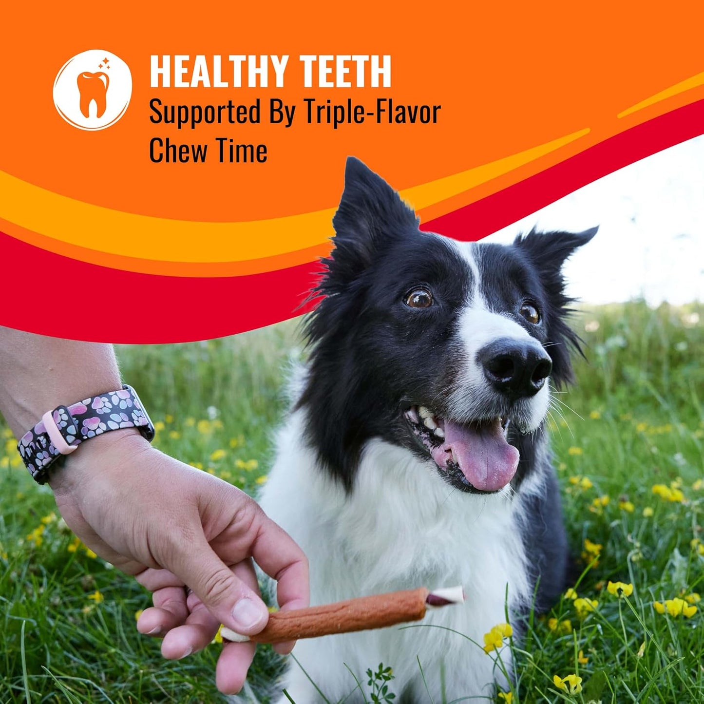 Close up of dental care dog chew showing chicken wrapped beef hide texture
