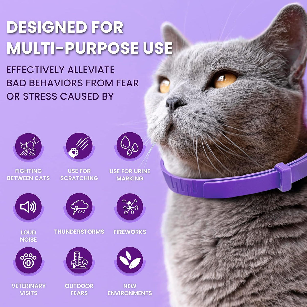 Pack of four purple pheromone collars for feline separation stress relief.