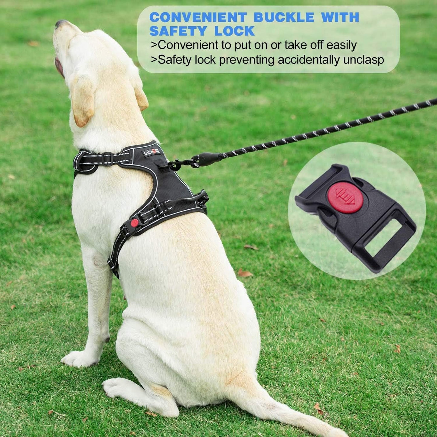 tobeDRI No Pull Dog Harness Adjustable Reflective Oxford Easy Control Medium Large Dog Harness with A Free Heavy Duty 5ft Dog Leash - Image 4