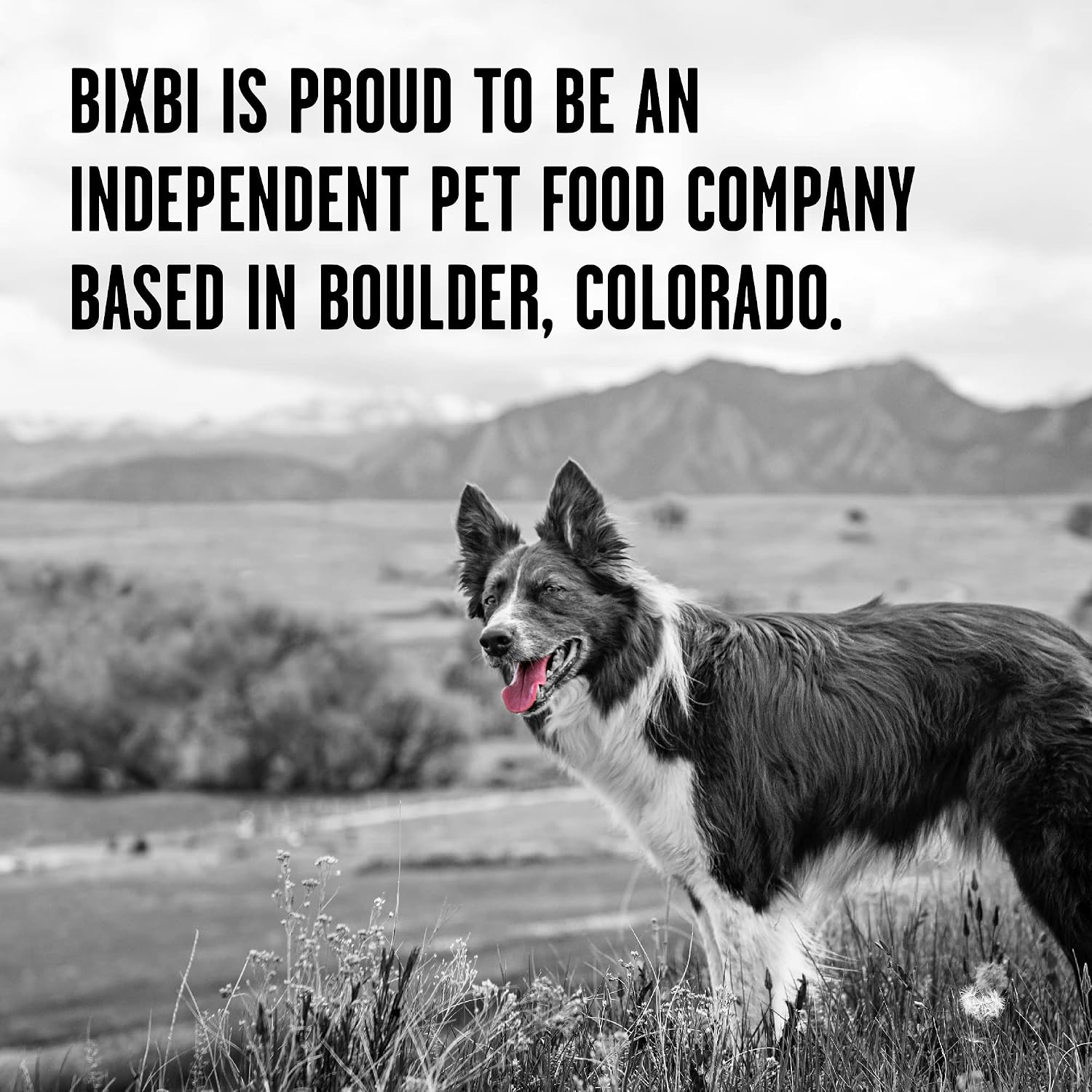 Shelf stable raw dog food topper beef recipe single source protein