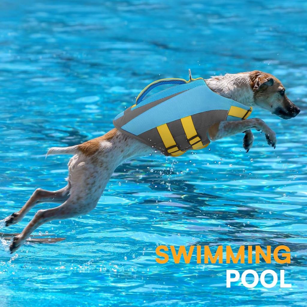 Waterproof dog vest for boating emphasizing the metal leash D ring attachment
