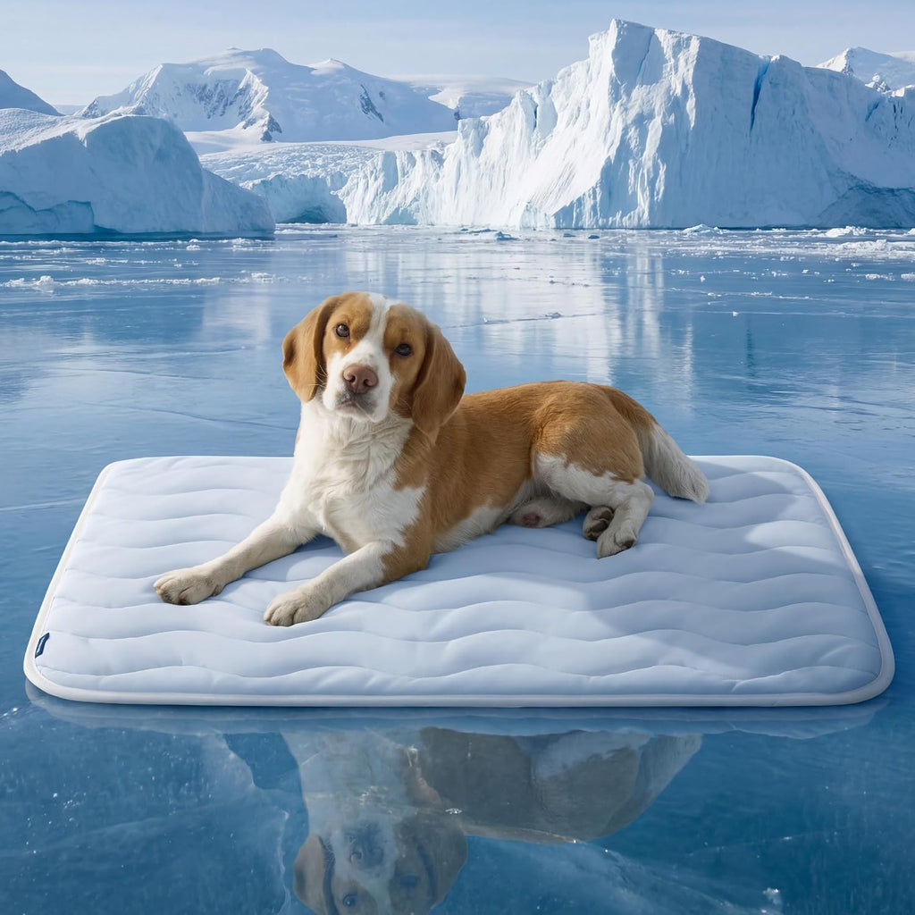 Bedsure cooling mat for large dogs front view in blue color