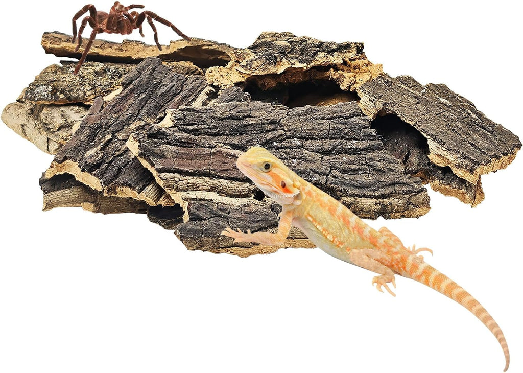 BNOSDM Reptile Cork Bark Substrate 1.5LB Lizard Bedding for Habitat Natural Flat Cork Wood Bulk Terrarium Reusable Bark Pieces for Chameleon, Ball Python, Crested Gecko, Spider, Tortoise, Tree Frog - Image 9