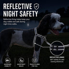 ShawnCo Dream Walk Pro Dog Harness- No-Pull, Comfortable, Adjustable, Easy to Use Pet Halter to Help Stop Pulling for Small, Medium and Large Dogs (ICY Lilac, Small) - Image 6