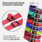 CollarDirect reflective slip collar detailing the secure premium stitching and strong nylon weave