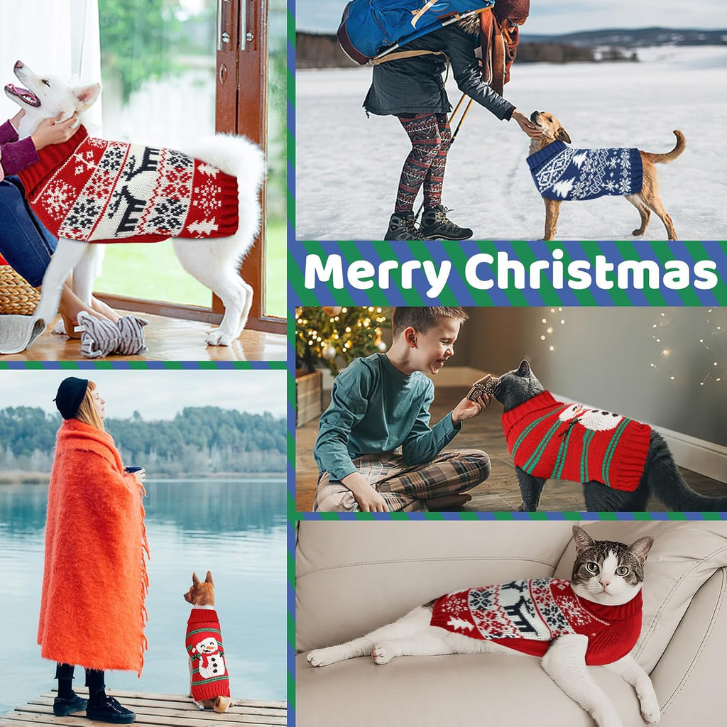 Medium size festive puppy sweater being worn during outdoor winter playtime.