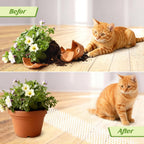 Oceanpax transparent cat deterrent mat spikes close up