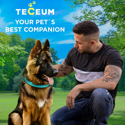 TECEUM Reflective Dog Collar - Aquamarine - M - Extra Soft Padding - Basic Nylon Pet Collar - Quick Release Buckle - Fits Small, Medium and Large Dogs, Puppies, Cats - ESA & Service Dog Options - Image 9