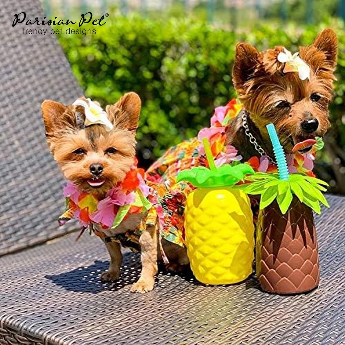 Parisian Pet Hawaiian Dog Dress material texture showing the breathable 100 percent cotton weave