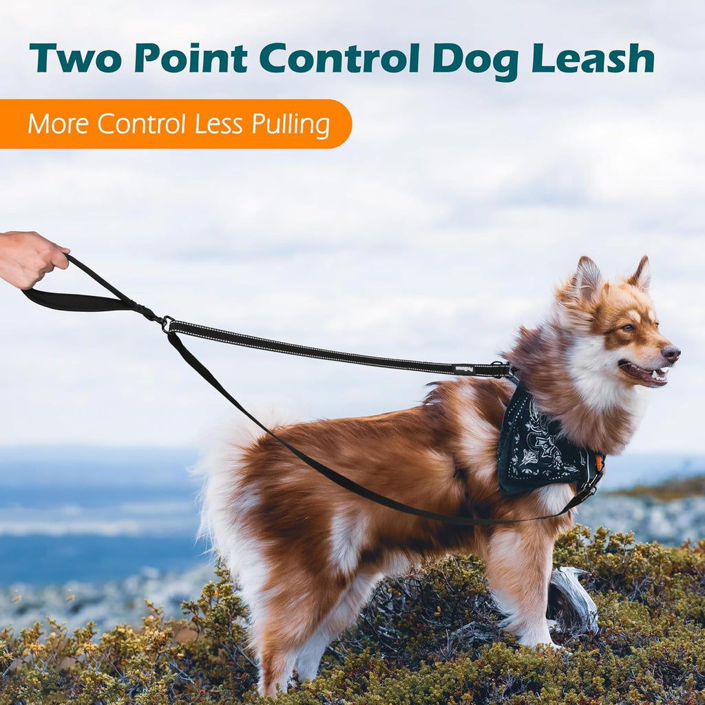 PetBonus black dog training lead with reflective stitching detail