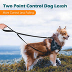 PetBonus black dog training lead with reflective stitching detail