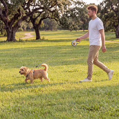 Detail view of reflective material on retractable dog walking accessory