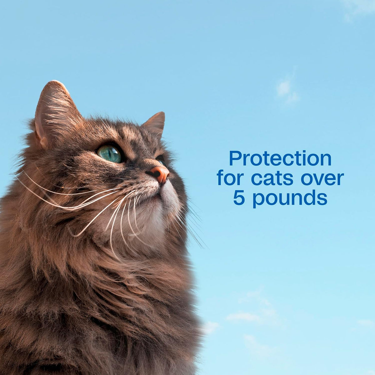 Adams Plus five in one flea lifecycle control packaging graphics