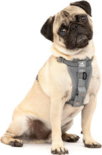 Kurgo Enhanced Strength Tru-Fit Dog Car Harness - Pet Travel Safety Harness - Crash Test Certified Fit - Five Point Adjustment - Secure Buckle - Padded Chest - Black - Medium - Image 13