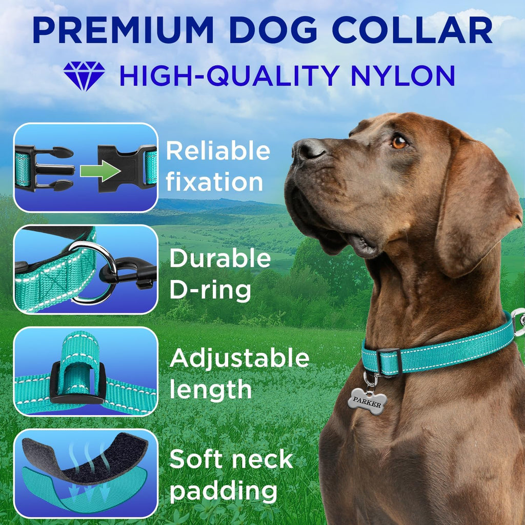 Teceum dog collar with reflective stitching detail