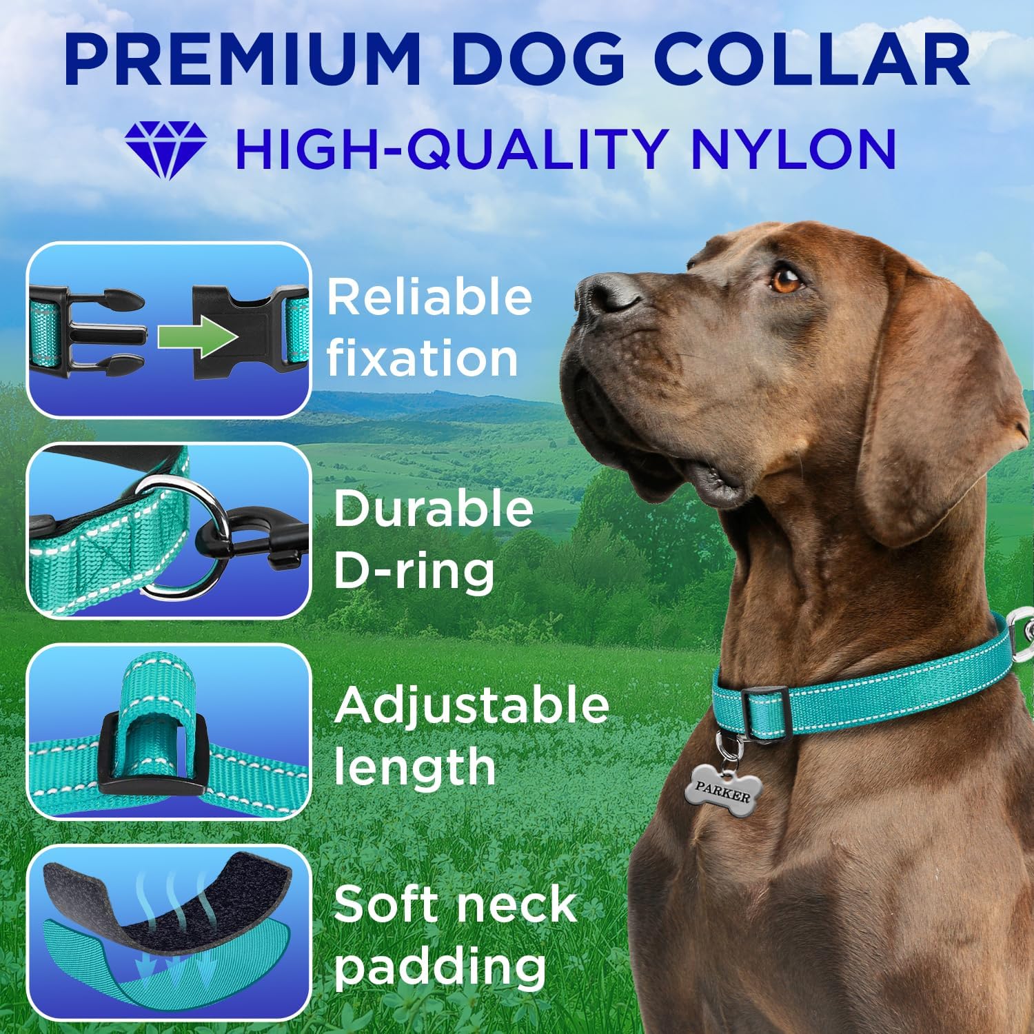 Teceum dog collar with reflective stitching detail