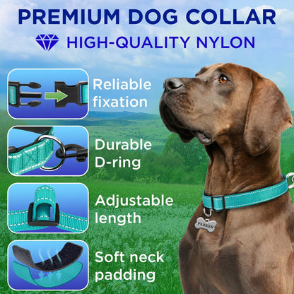 Teceum dog collar with reflective stitching detail