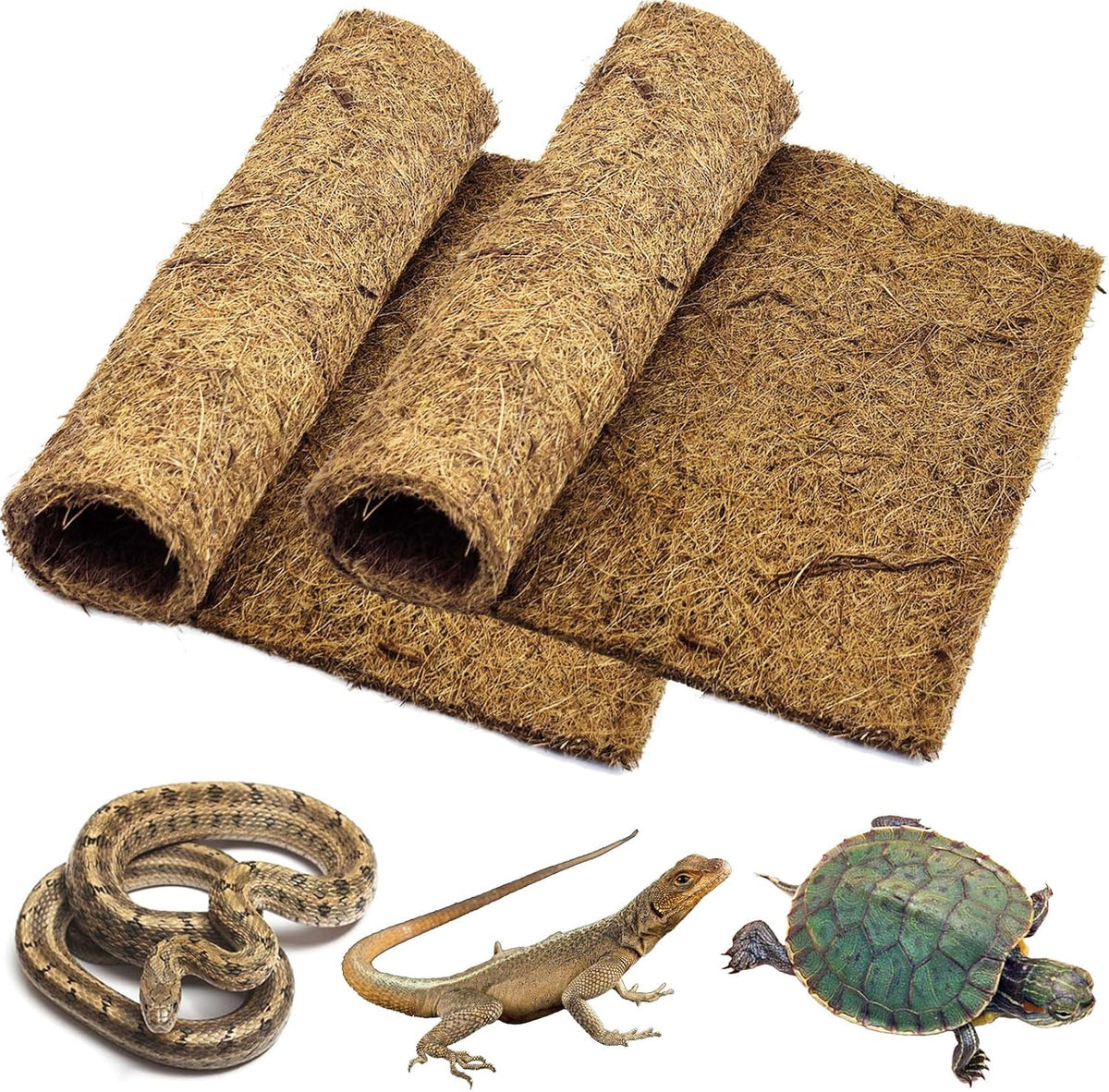 Packaging details of PINVNBY natural coconut fiber reptile substrate