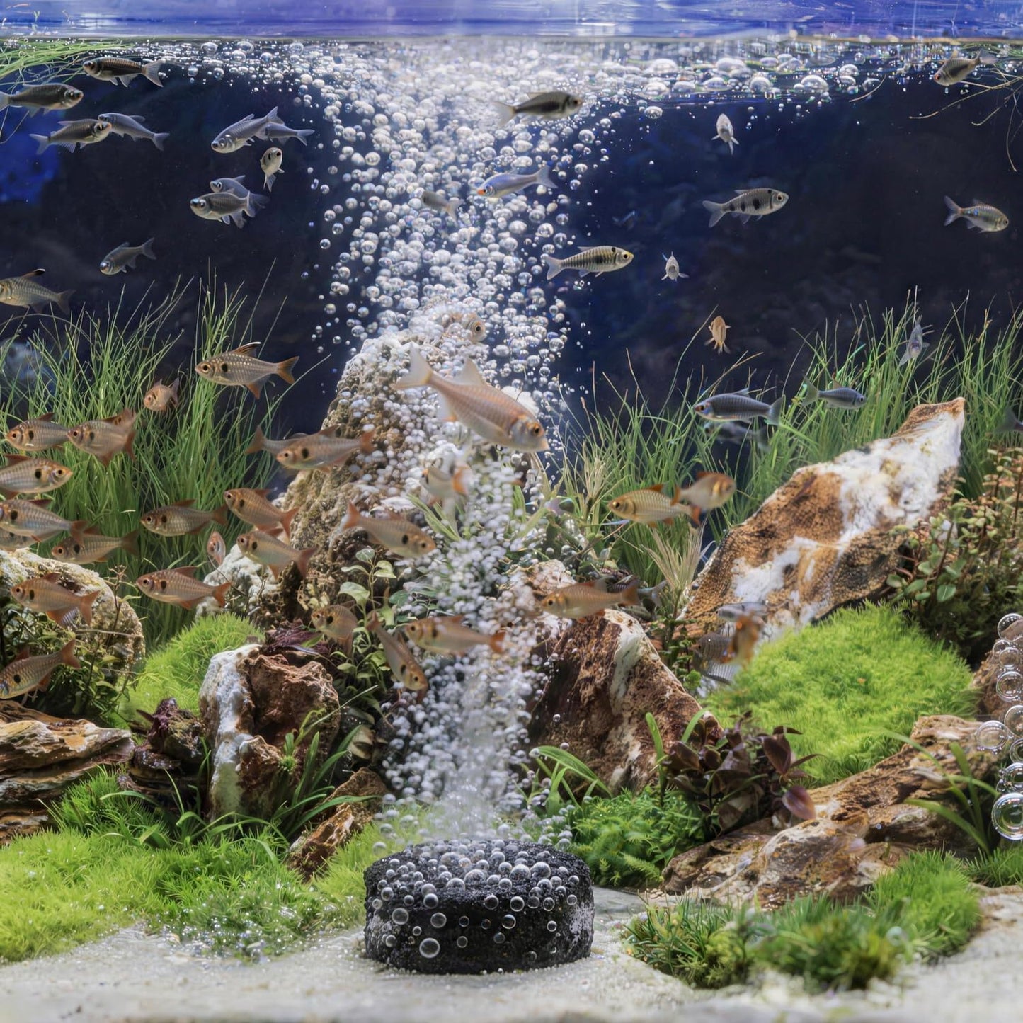 Four piece fish tank bubbler kit displaying the complete premium mineral stone set.