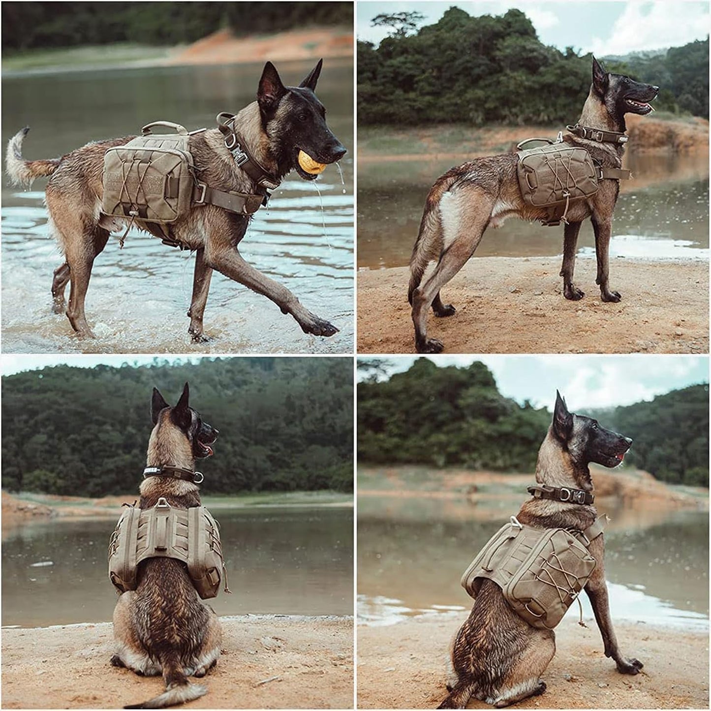 Excellent Elite Spanker medium tactical pack demonstrating even weight distribution on a large breed dog