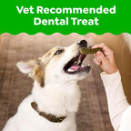 Imported Greenies original flavor teenie pet treats for plaque control