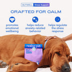 Native Pet dog anxiety relief food topper powder packaging close up showing 60 scoops