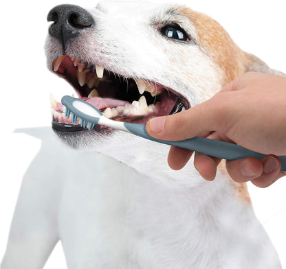 Nylabone Advanced Oral Care Dog Dental Kit Original Flavor 2.5 oz. - Image 11