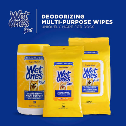 Authentic imported Wet Ones dog wipes available in India