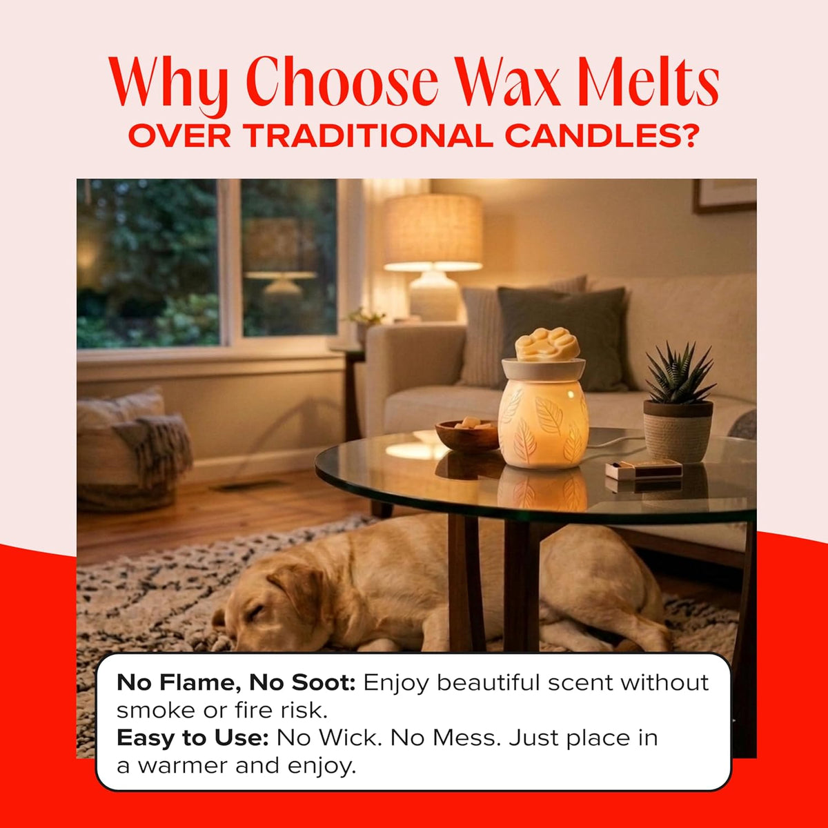 Companion Candles USA imported wax melt coconut soy blend