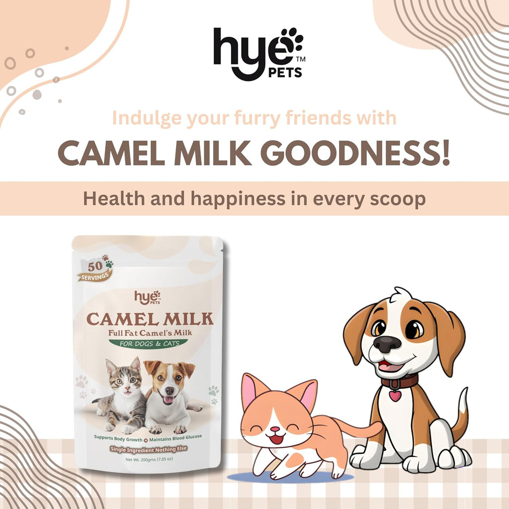 Camel milk powder for sensitive stomachs in dogs and cats as a meal topper.