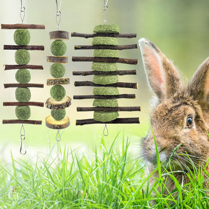Organic apple branches pet snacks packaging view