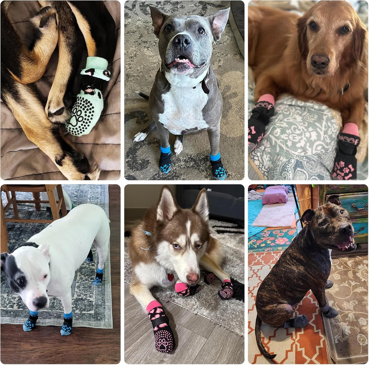 Detachable elastic strap mechanism on Kooltail dog booties