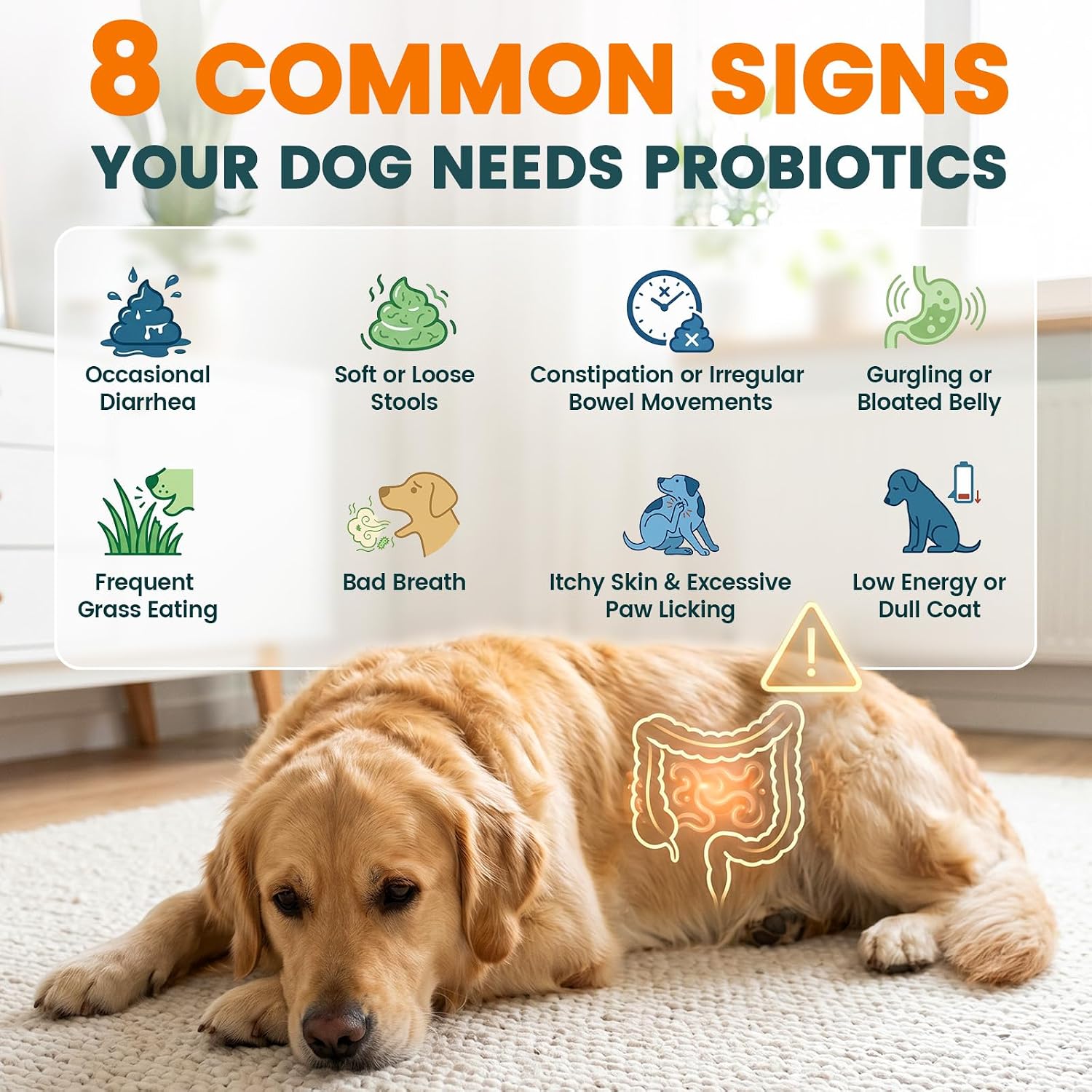 Carmelie dog probiotics for diarrhea and gas relief premium imported pet wellness chewables.